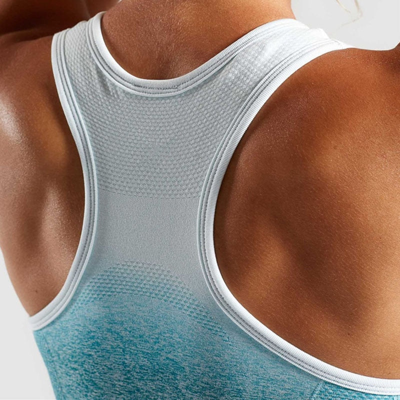 Ombre Seamless Sports Bra – Push-Up Produktbild – VYROX