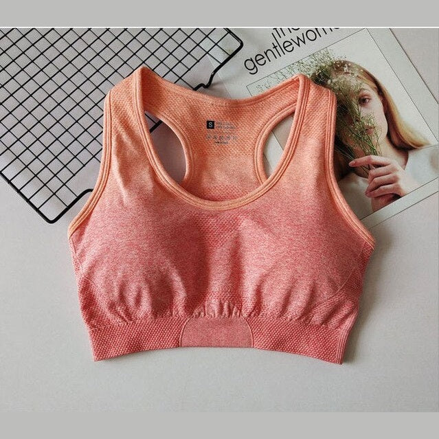 Ombre Seamless Sports Bra – Push-Up – Ansicht 9 – VYROX