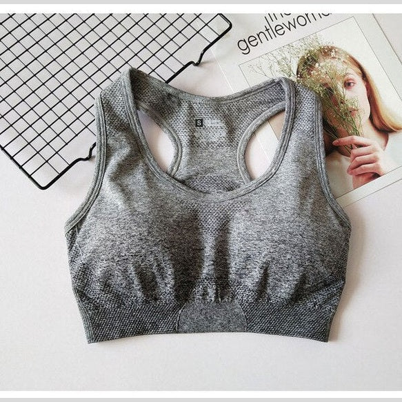 Ombre Seamless Sports Bra – Push-Up – Ansicht 8 – VYROX