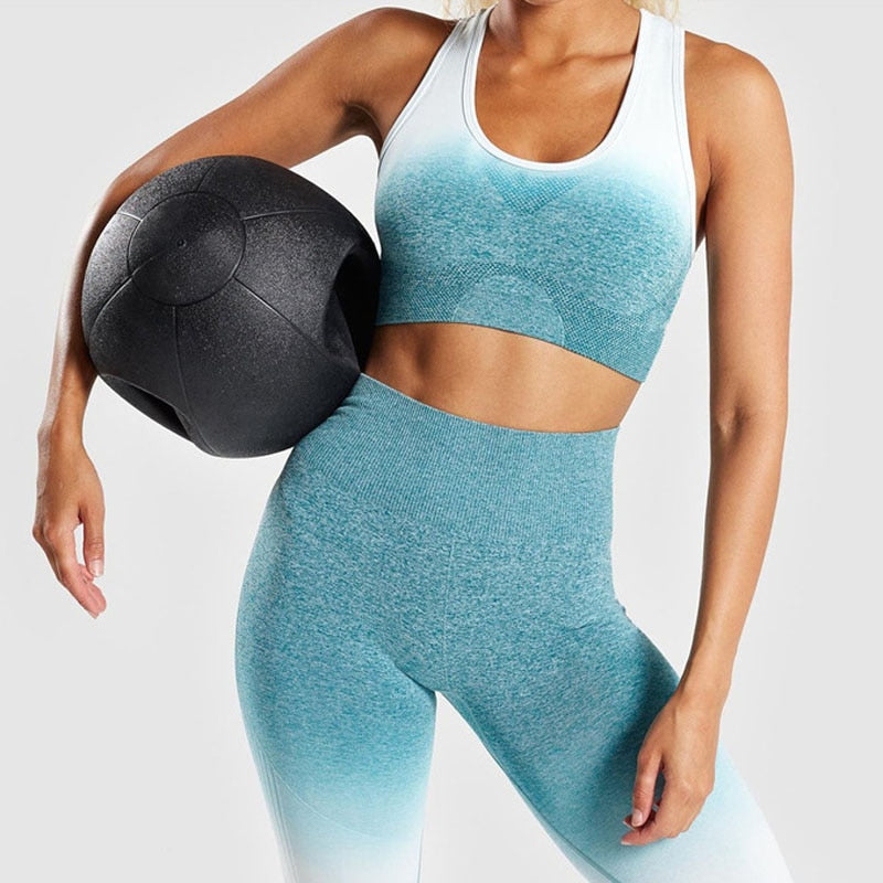 Ombre Seamless Sports Bra – Push-Up – VYROX Fitnesswear