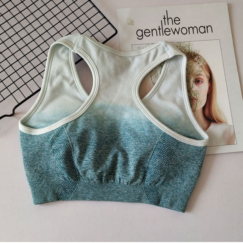 Ombre Seamless Sports Bra – Push-Up – Ansicht 6 – VYROX