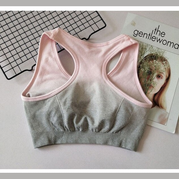 Ombre Seamless Sports Bra – Push-Up – Ansicht 10 – VYROX