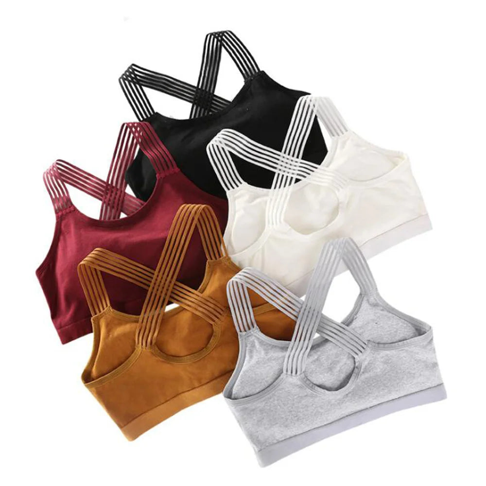 Seamless Sports Bra – Push-Up – VYROX Fitnesswear